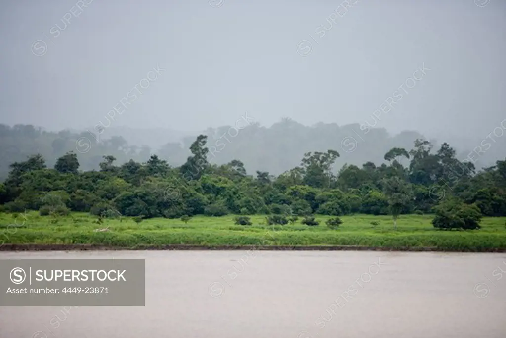 Tropical rainforest during Mid-Morning rain downpour on Amazon River, Boca da Valeria, Amazonas, Brazil, South America
