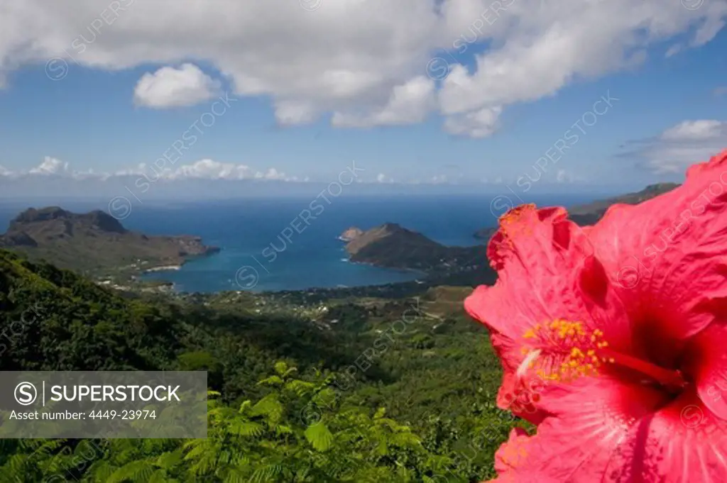 Hibiscus blossom and Taihoae bay on Nuku Hiva, Marquesas Islands, Polynesia, Oceania