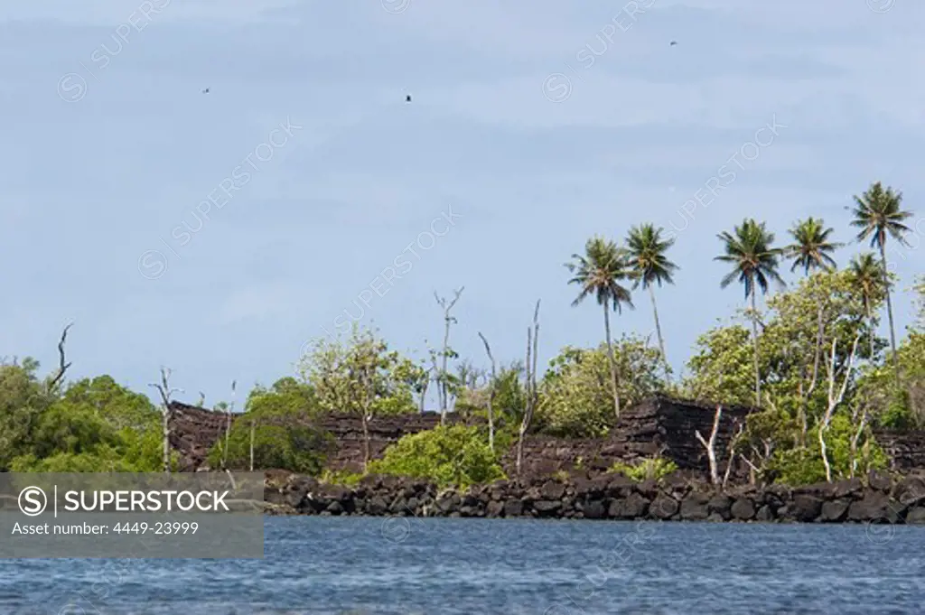 Ruins of the town Nan Madol on the waterfront, Pohnpei, Micronesia, Oceania
