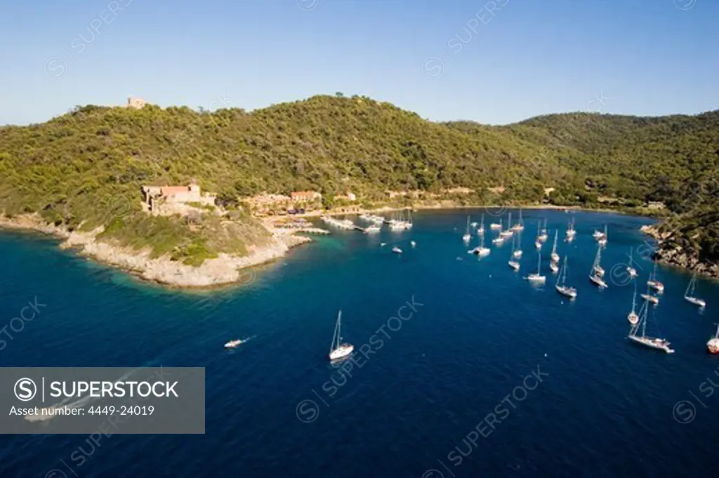 Aerial view of Port Cros with boats in a bay, Iles d'Hyeres, France, Europe