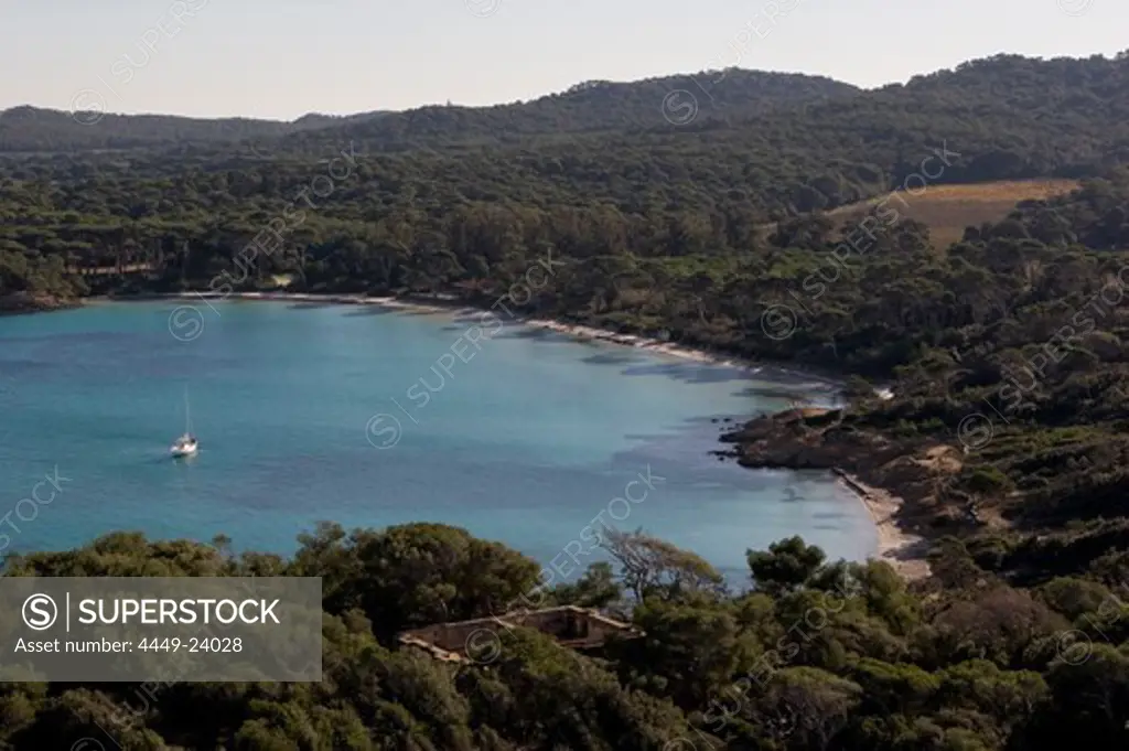 Aerial view of a bay at Porquerolles, Iles d'Hyeres, France, Europe