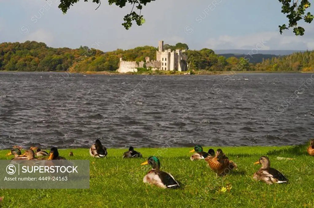 outdoor photo, view from Lough Key Forest Park on Lough Key and Island with ruin, County Roscommon, Ireland, Europe