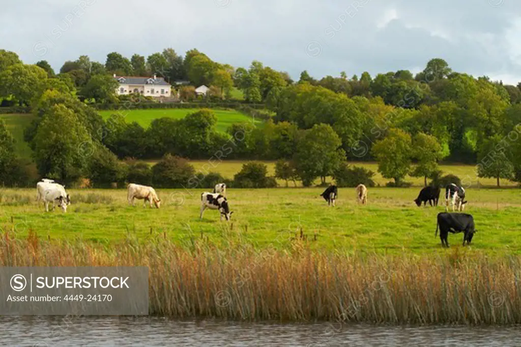 outdoor photo, with a houseboat on the Upper Lough Erne, Shannon & Erne Waterway, County Fermanagh, Northern Ireland, Europe