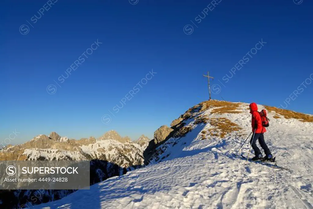 young woman ascending Krinnenspitze, Tannheim range (Rote Flueh, Gimpel, Kellenspitze) in background, Allgaeu range, Allgaeu, Tyrol, Austria