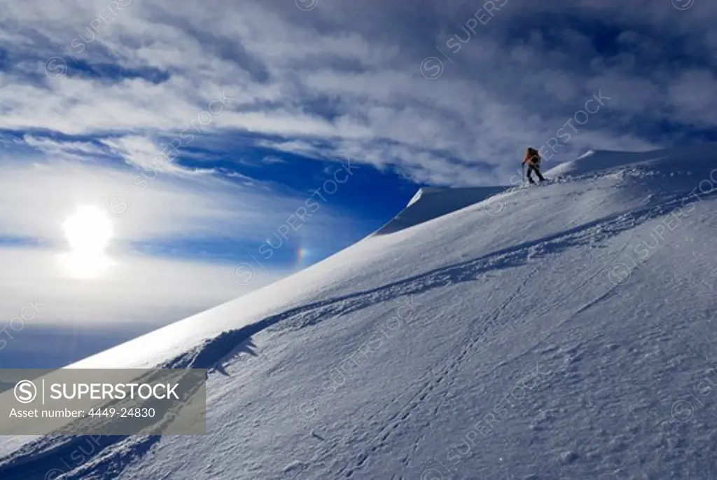 backcountry skiier on ridge with cornices and ski tracks, Kuehgundkopf, Allgaeu range, Allgaeu, Tyrol, Austria