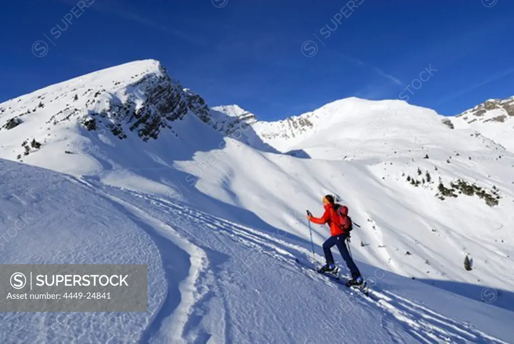 young woman ascending Hintere Steinkarspitze near Kelmer Joechl, Lechtal range, Tyrol, Austria