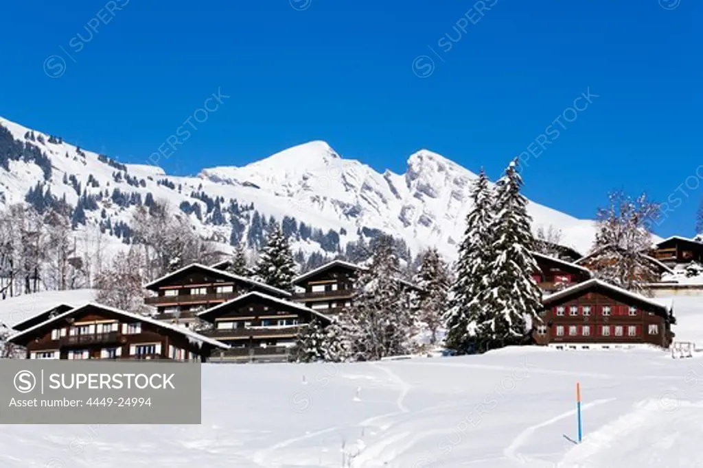 Alpine houses with mountains Schwarzhorn and Gemschberg in background, First, Grindelwald, Bernese Oberland, Canton of Bern, Switzerland