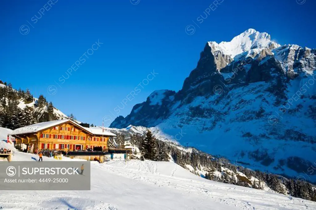 Mountain restaurant Bort with mountain Wetterhorn in background, First, Grindelwald, Bernese Oberland, Canton of Bern, Switzerland
