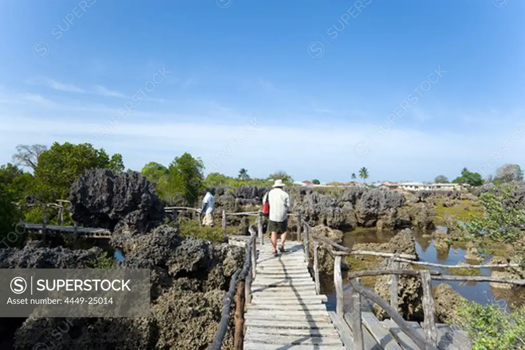 Tourists visiting Coral Garden, Wasini Island, Coast, Kenya