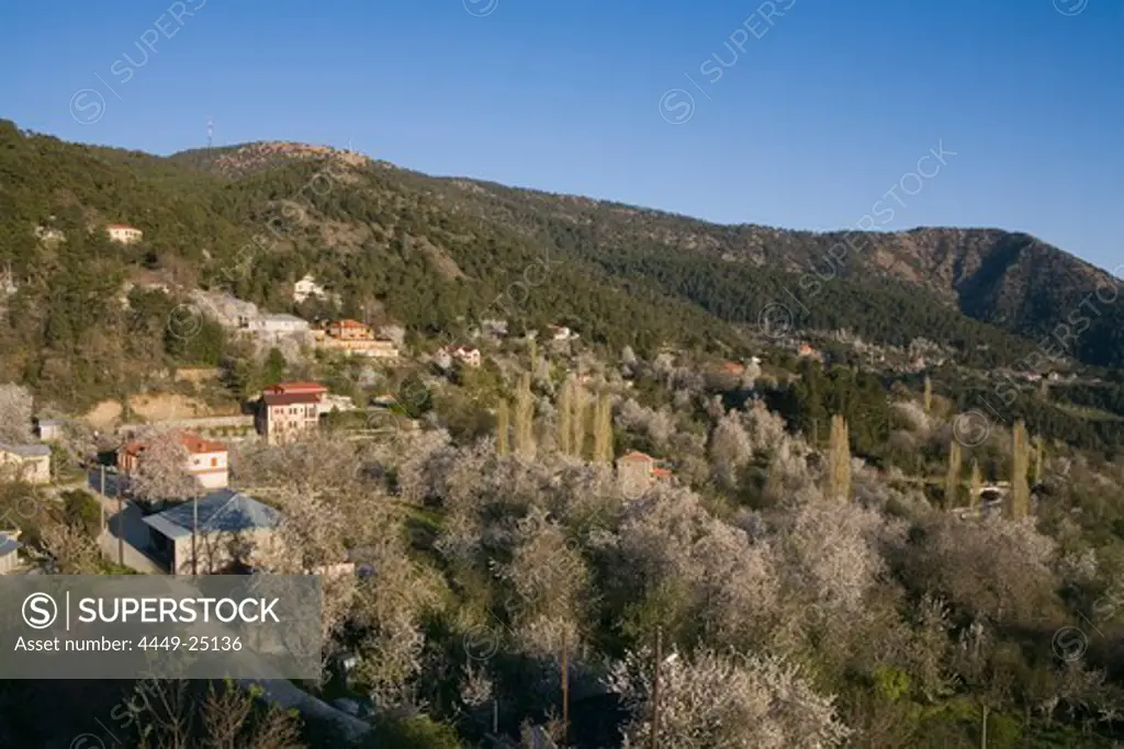 Mountain landscape with cherry blossoms, Prodromos, Troodos mountains, South Cyprus, Cyprus