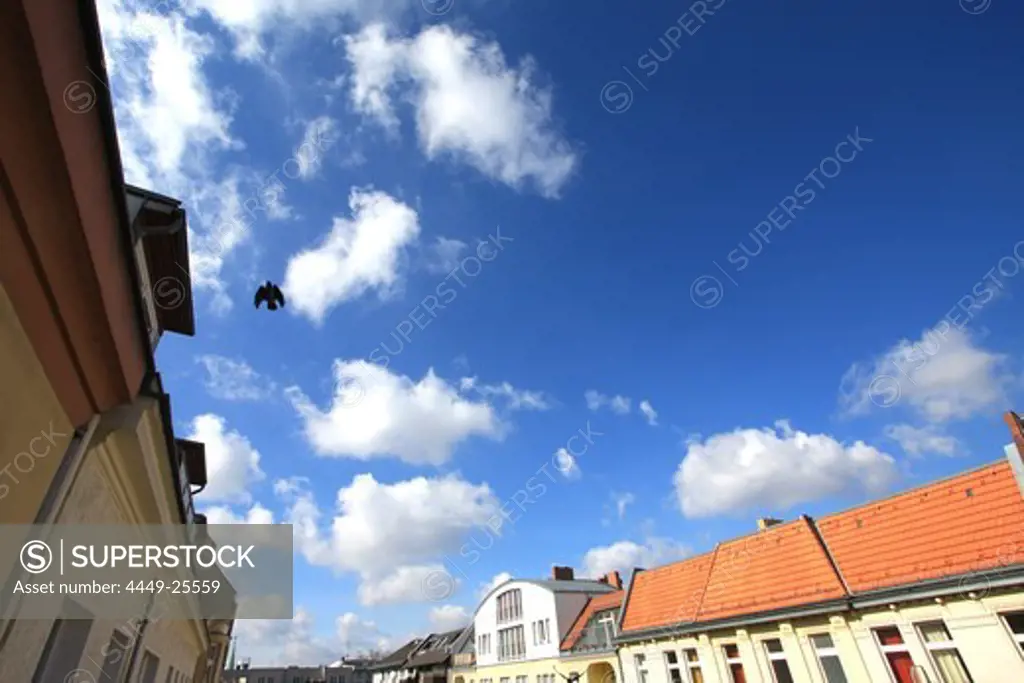Roofs and Sky over Berlin, Germany