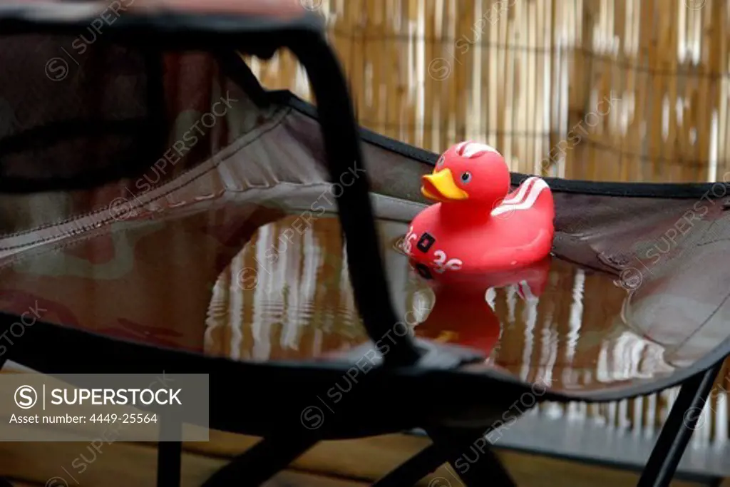 Rainy day, rubber duck in a puddle of water on a chair, Berlin, Germany