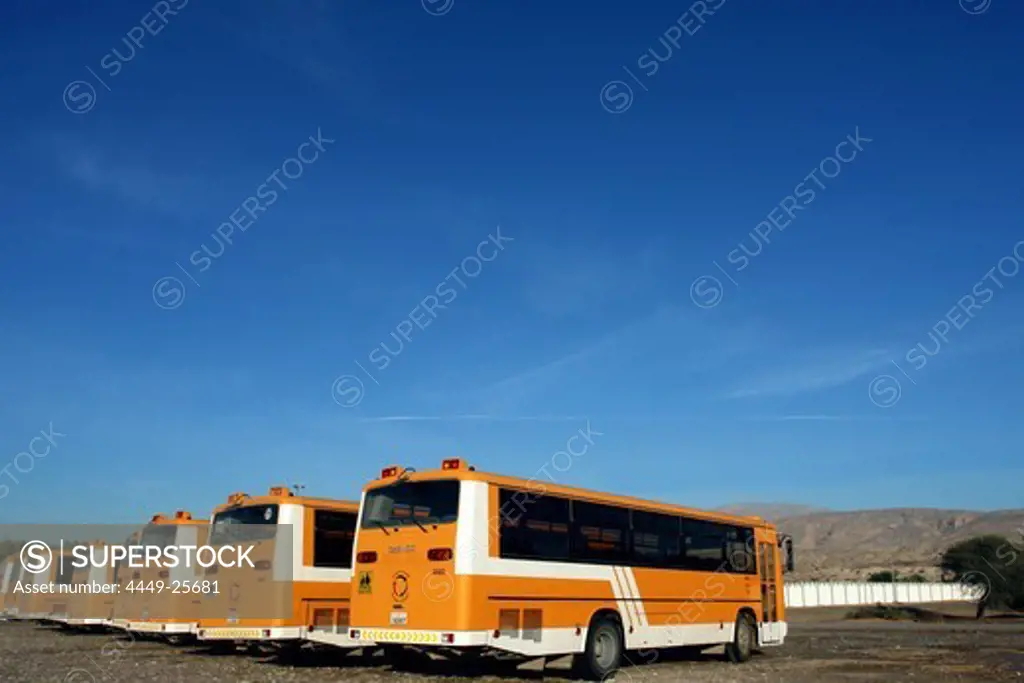 Schoolbus, Ras Al Khaimah, RAK, United Arab Emirates, UAE