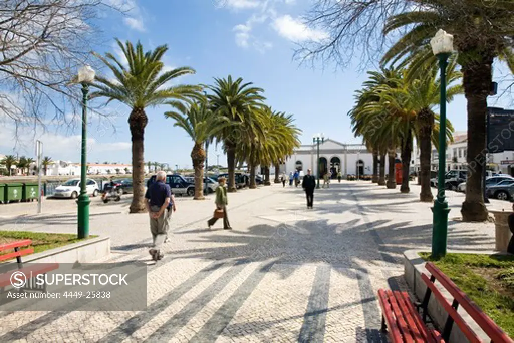 Promenade lined with palm trees and old market hall, Mercado de Ribeira, in Tavira, Algarve, South Portugal, Portugal