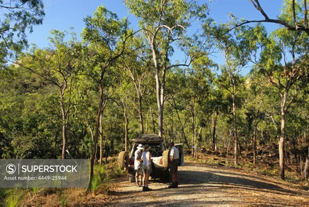 Jeep Safari in Bushland near Jowolbinna Camp near Leura, Queensland, Australia