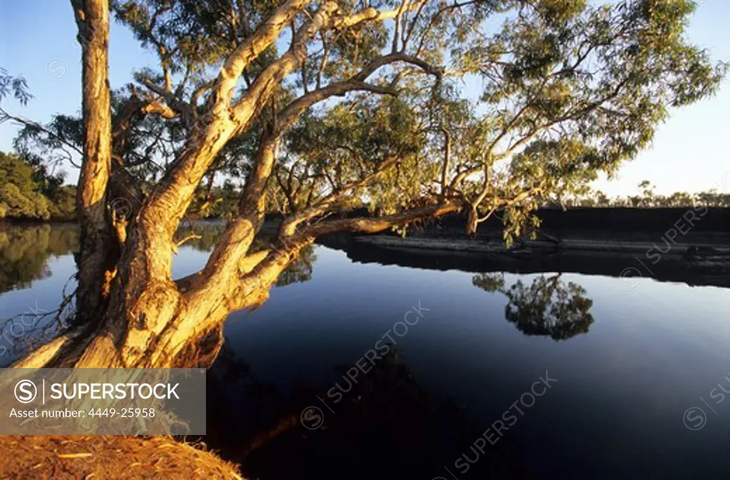 The Kennedy River in Lakefield National Park, Queensland, Australia