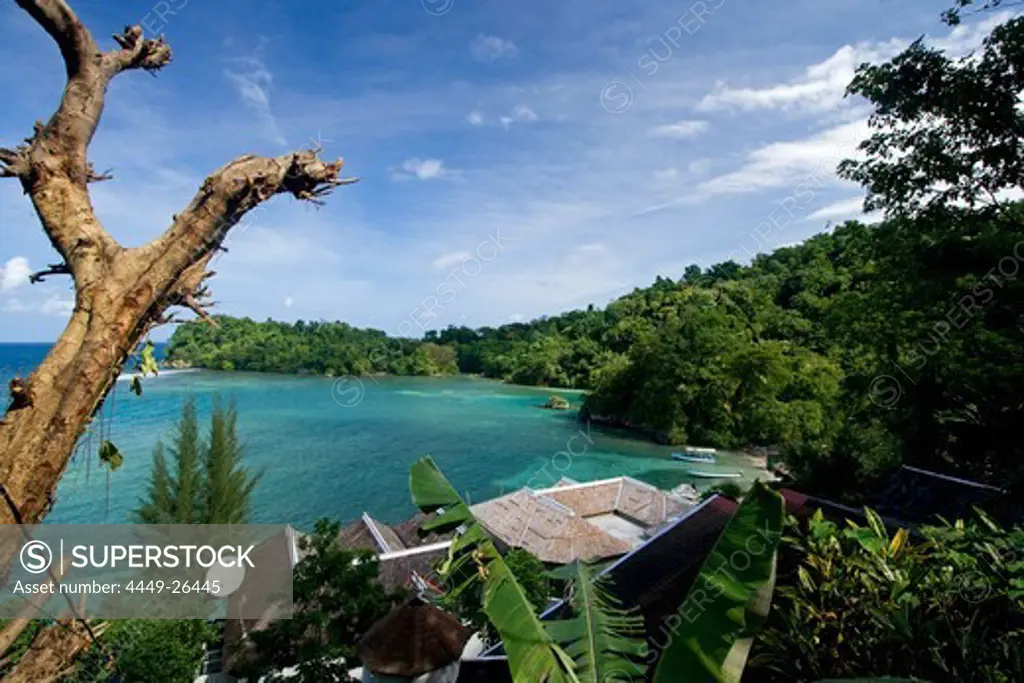 Jamaica Port Antonio Tropical landscape near Blue lagoon