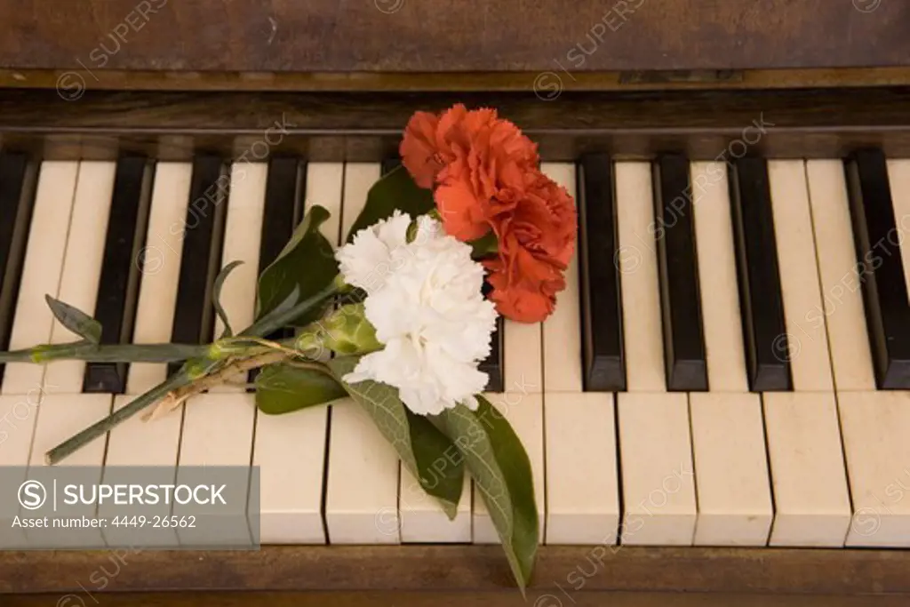 Fresh Carnation Flowers on Piano of Frederic Chopin, Cell No. 2 of Chopin & Sand in Real Cartuja Royal Charterhouse of Valldemossa, Mallorca, Balearic Islands, Spain