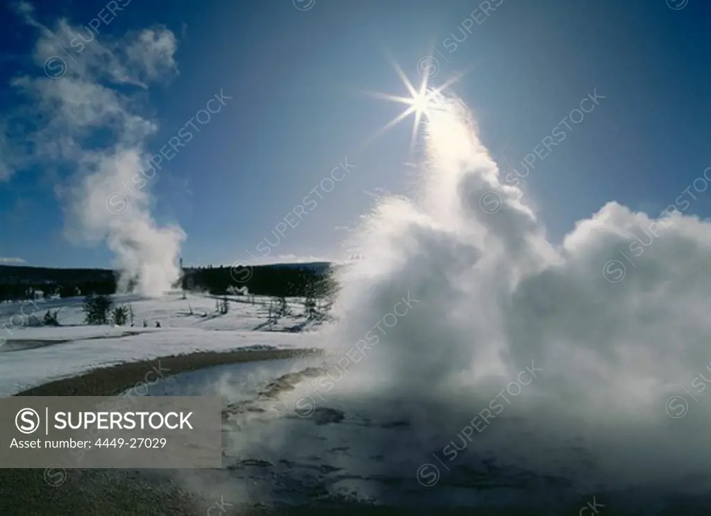 Rising steam of Spasmodic geyser, Upper Geyser Basin, Yellowstone national park, Wyoming, North America, USA