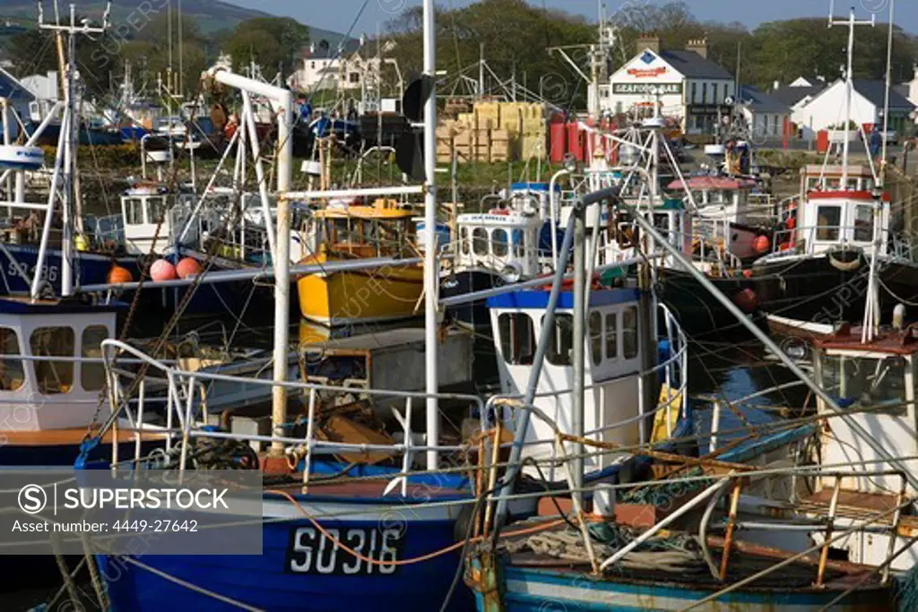 Harbour in Greencastle, County Donegal, Northern Ireland, Europe