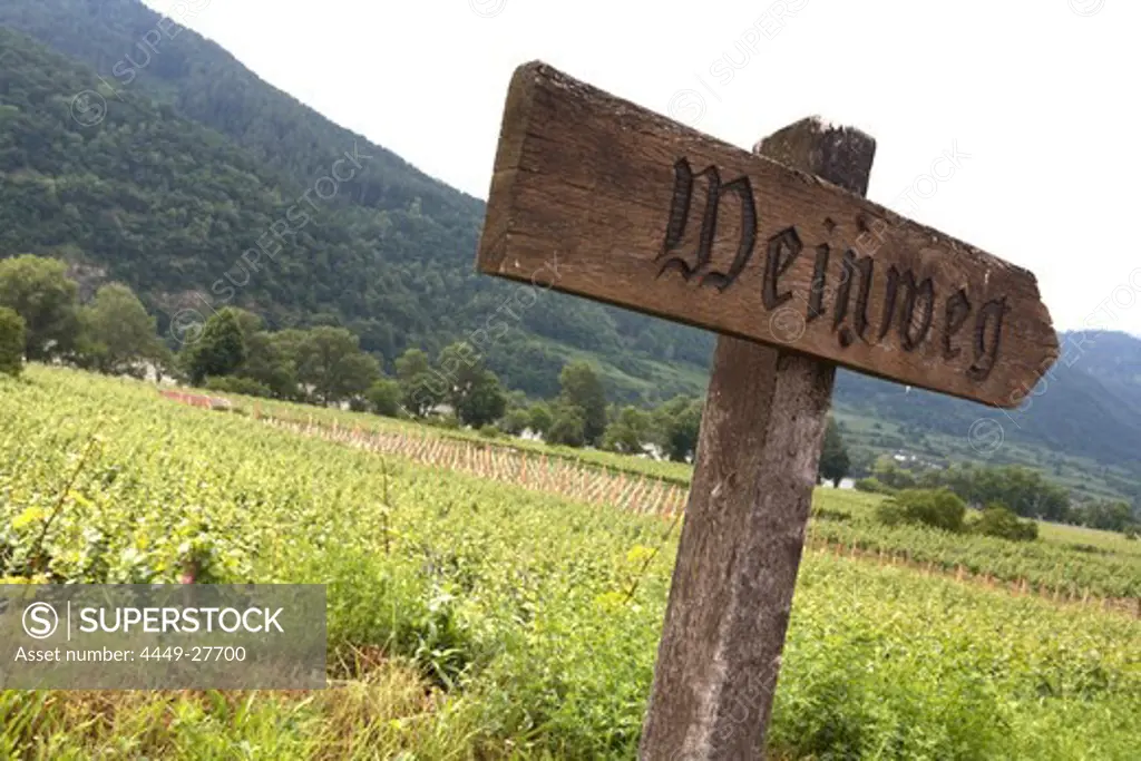 Signpost at vineyard, Weissenkirchen, Lower Austria, Austria