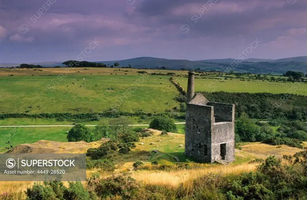 Europe, England, Devon, Dartmoor, near Mary Tavis, old tin mine