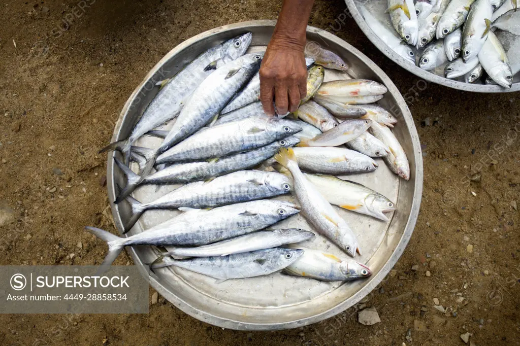Fresh fish from a market stand in a local market in Sichon Province, Thailand