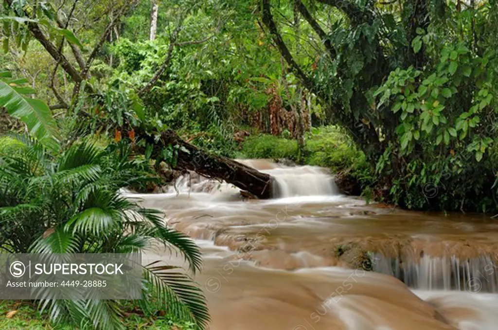 Aqua Azul, water cascades in a tropical forest, Chiapas, Mexico