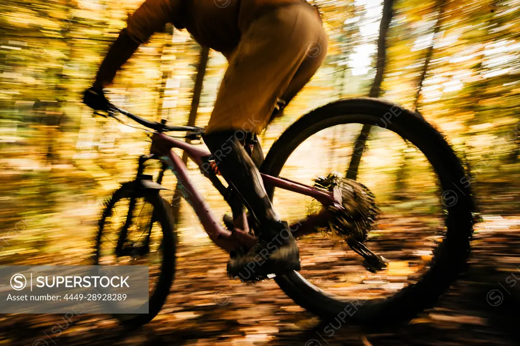 Mountain biker rides through autumn forest, wheel, bicycle, mountain bike, autumn,
