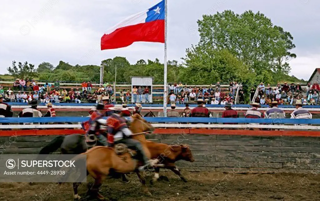 Rodeo in Conchi with flag of Chile, Chiloé, Chile, South America