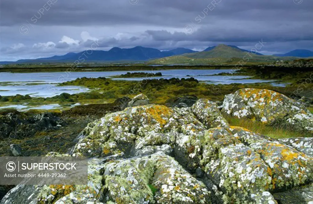 Coastal landscape with rocks and seaweed, Betraghboy Bay, Connemara, Co. Galway, Ireland, Europa