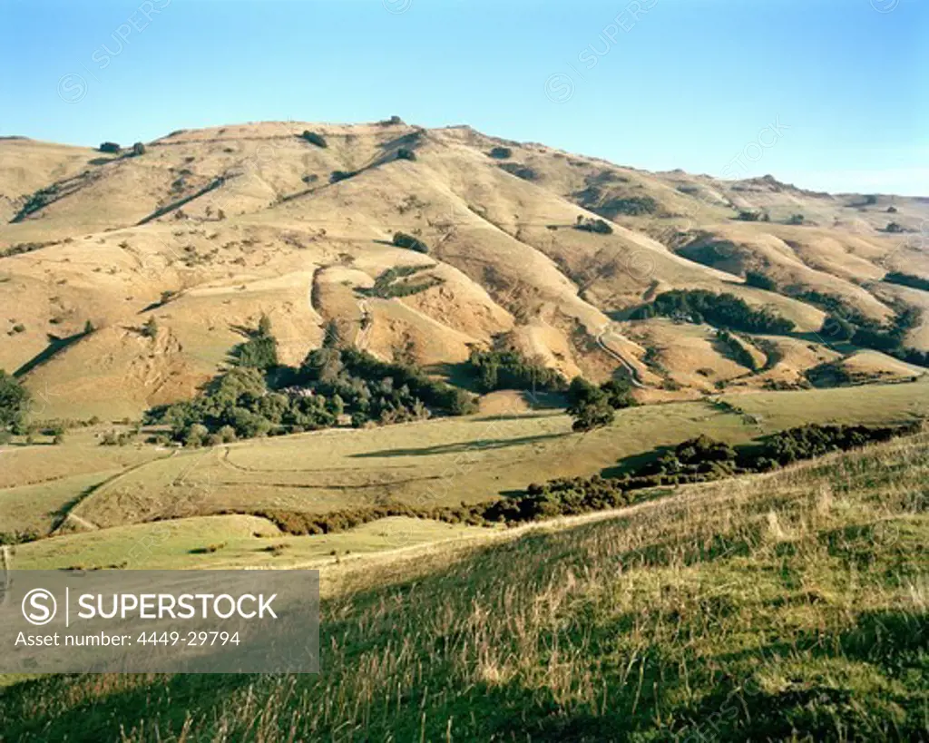 Grassland of Rowendale Homestead in the sunlight, Okains Bay, Banks Peninsula, South Island, New Zealand