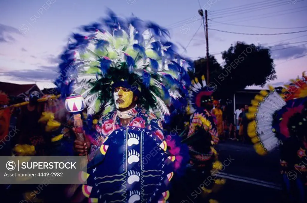 Man in Carnival costume, Mardi Gras, Carnival, Port of Spain, Trinidad and Tobago