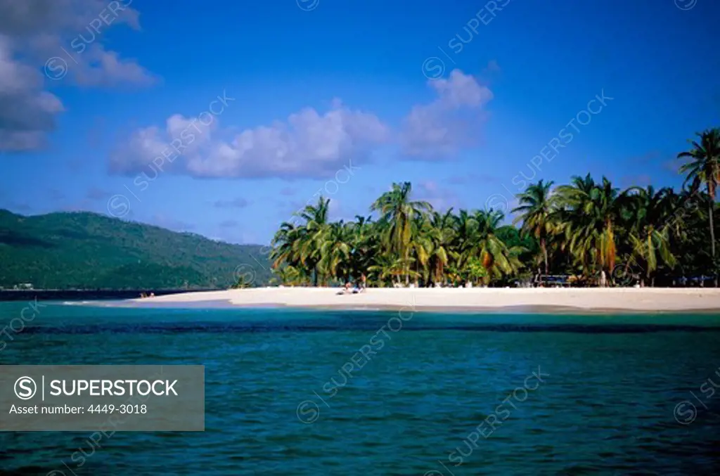 Beach with palm trees, Cayo Levantado Bahia de Samana, Cayo Levantado, Bahia de Samana, Samana Peninsula, Dominican Republic, Antilles, Caribbean