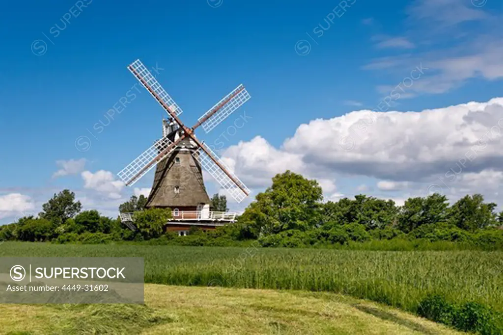 Windmill, Oldsum, Foehr Island, North Frisian Islands, Schleswig-Holstein, Germany