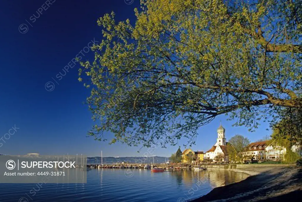 Church and castle at the lakeshore in the sunlight, Wasserburg, Lake Constance, Bavaria, Germany