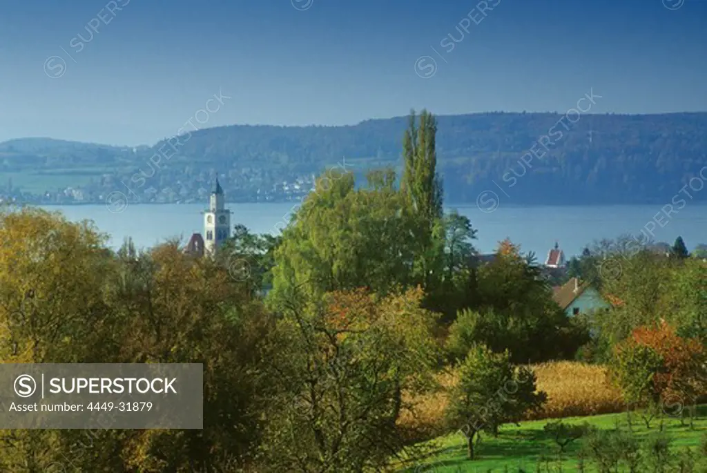 The tower of the minster behind trees, Ueberlingen, Lake Constance, Baden Wurttemberg, Germany