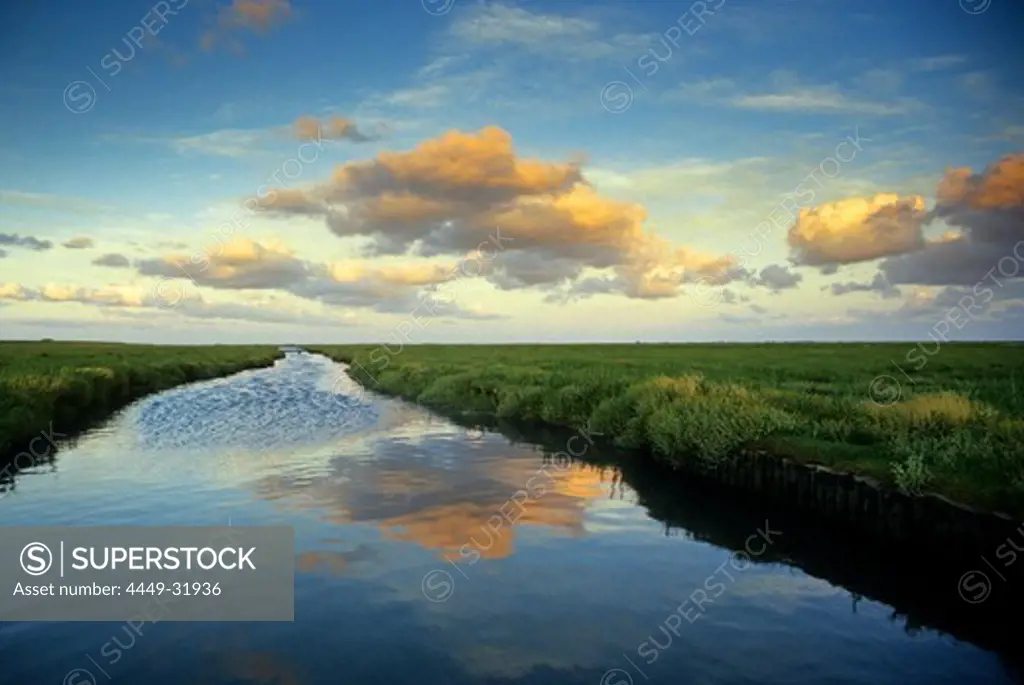 A canal in the tidal land reflecting clouds, Eiderstedt peninsula, North Friesland, Schleswig-Holstein, Germany