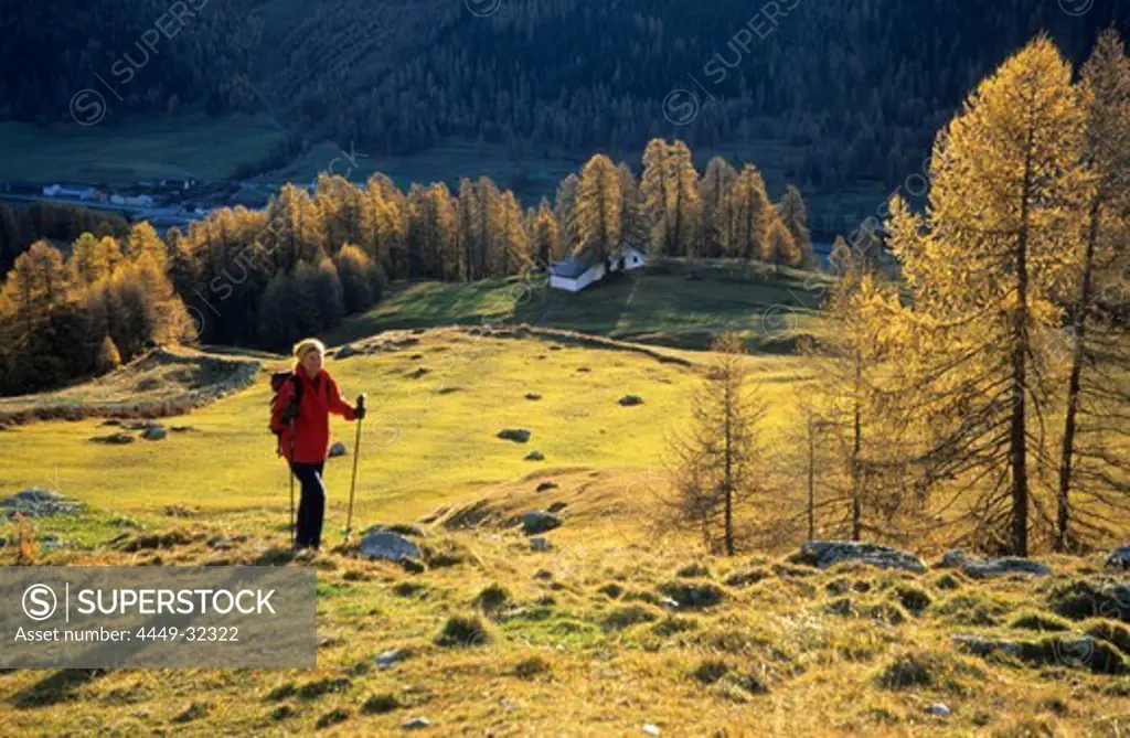 Young woman on the way up to alpine hut Chamanna d'Es-cha on alpine meadow between larches, Silvretta, Silvretta range, Unterengadin, Engadin, Grisons, Switzerland