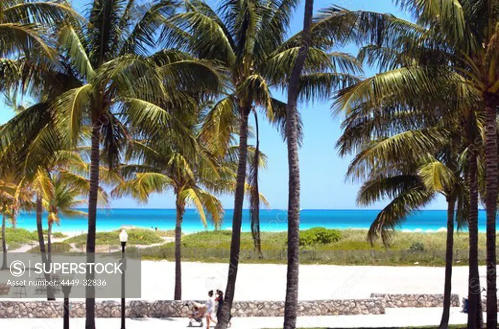People strolling under palm trees at Lummus Park, South Beach, Miami Beach, Florida, USA
