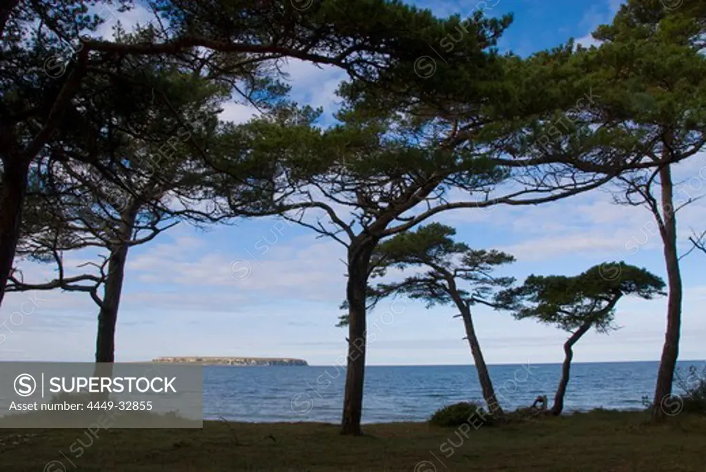 Coastal landscape near Djauvik, Lilla Karlso island in the background, natur reserve, Gotland, Sweden, Scandinavia, Europe