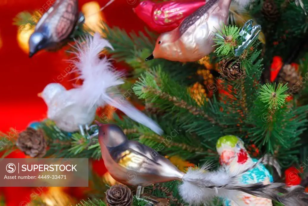 Glass birds on Christmas tree, Christmas market, Bad Toelz, Bavaria, Germany