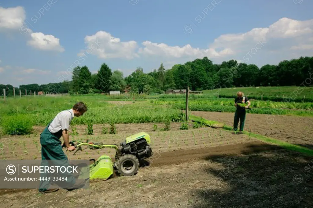 Farmer using rotary tiller, biological dynamic (bio-dynamic) farming, Demeter, Lower Saxony, Germany