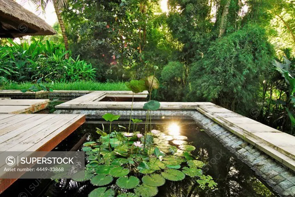Pond with lotus flowers on the roof of a bungalow, Hotel Four Seasons at Sayan, Ubud, Central Bali, Indonesia, Asia