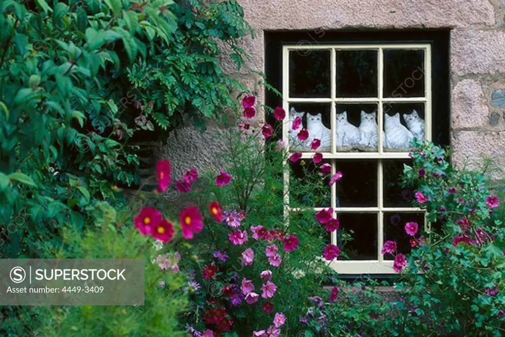 Window of Hotel Dixcart, Oldest Hotel on Sark, Sark, Channel Islands, Great Britain