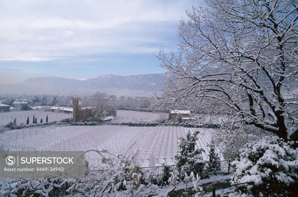 Winery and landscape in winter, Bolzano, South Tirol, Italy