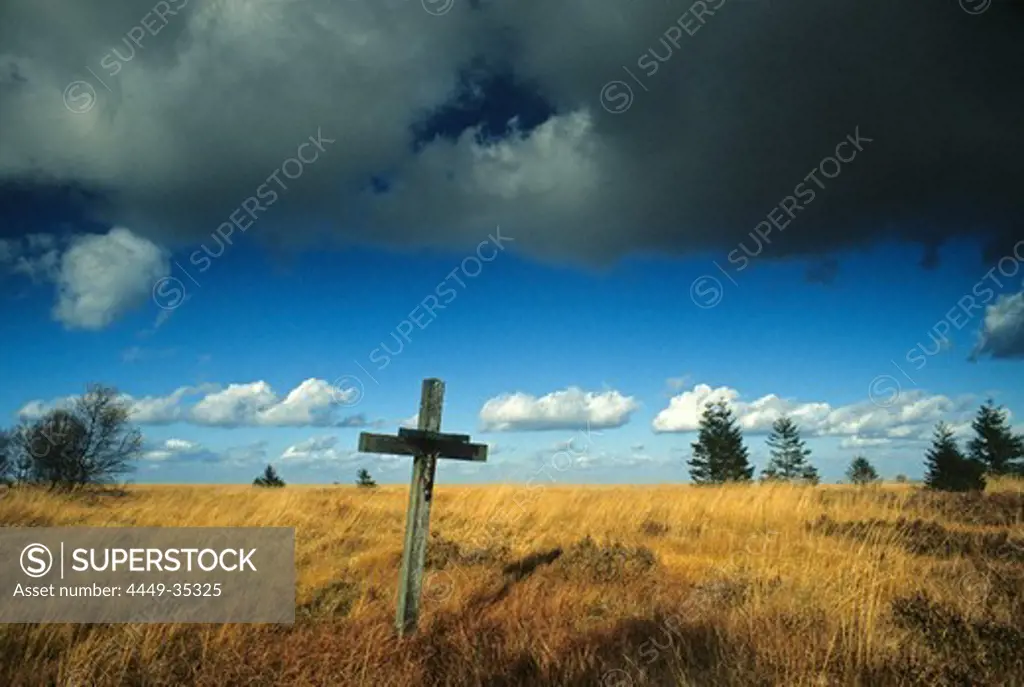 Cross at Hohes Venn, High Fens, raised moor, near Monschau, Eifel, North Rhine Westphalia, Germany