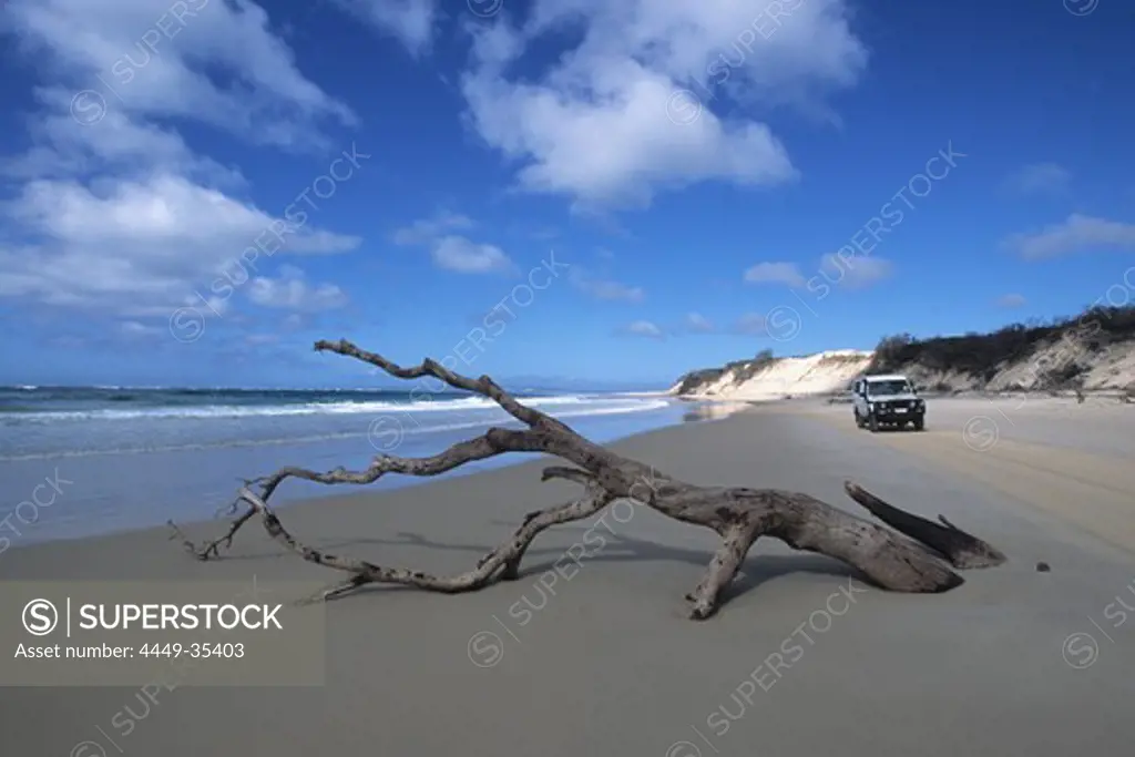 Driftwood and KEA 4WD, 4 wheel drive camper on the beach, Near Dilli Village, Fraser Island, Queensland, Australia