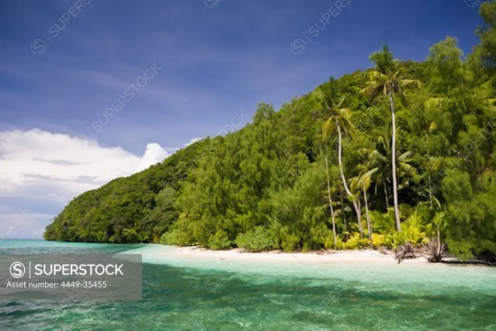 Palm-lined Beach at Palau, Micronesia, Palau