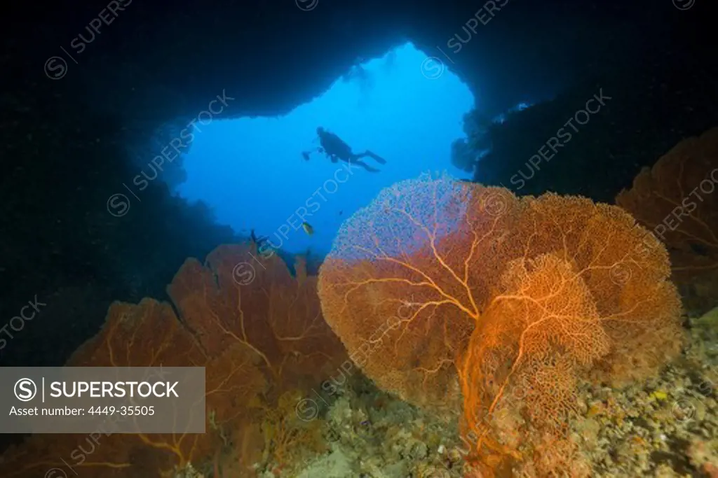 Diver in Siaes Tunnel Cave, Siaes Tunnel, Micronesia, Palau